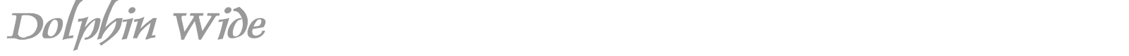 Dolphin Wide font preview